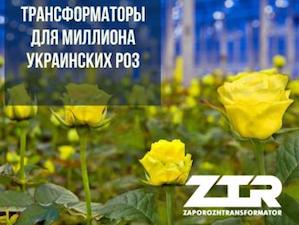 Трансформаторы для миллиона украинских роз