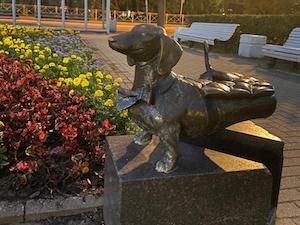 «Ленсвет» оформил подсветкой два памятника собакам