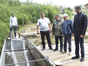 Сибирский химический комбинат профинансировал очередной выпуск рыбной молоди в реку Томь