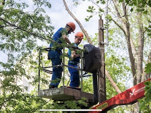 «Ленсвет» в I полугодии снизил количество дефектов в сетях в 1,4 раза