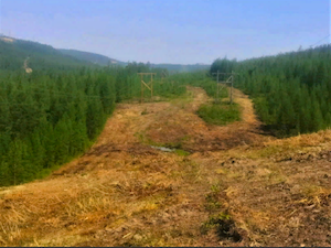 Энергетики Южно-Якутского филиала ДРСК защищают энергообъекты от лесных пожаров