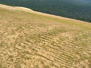 На рекультивацию объектов отработанного Шемурского месторождения в 2022 году направлено 700 млн рублей