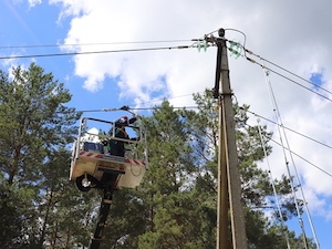 «Владимирэнерго» расчистит более 1000 га воздушных ЛЭП 6-10 кВ