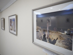 В музее «Газпром трансгаз Екатеринбург» открылась фотовыставка «Врезка особого значения»