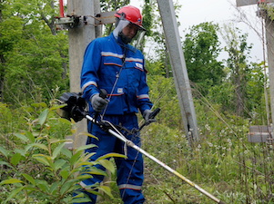 ДРСК расчистила в Приморье около 900 га просек воздушных ЛЭП