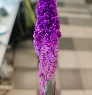 «Гиредмет» Росатома расширяет производство высокочистых солей для науки и промышленности