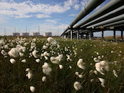 В 2021 году «зеленые» инвестиции «Роснефти» составили 55 млрд рублей