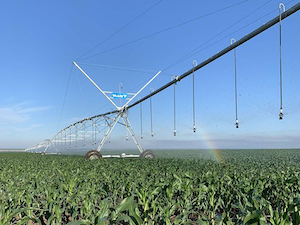 «Саратовские РС» электрифицировали объект мелиорации в Краснопартизанском районе