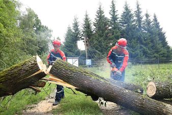«Россети Московский регион» полностью восстанавливили нарушенное непогодой электроснабжение потребителей