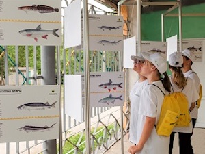 Волонтеры «Самаранефтегаза» организовали для школьников выставку о водном мире Волги