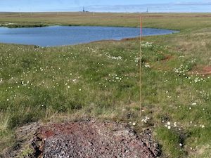 «Газпром добыча Надым» вывез с Харасавэйского месторождения более 400 тонн отходов производства