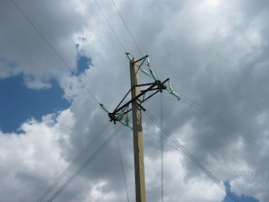 «Саратовские распределительные сети» обновили ЛЭП «Аткарск – Вяжля»