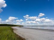 «Тюменнефтегаз» сохраняет биологическое разнообразие озера Соленое