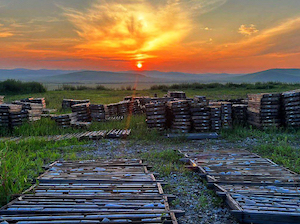 ЦНИГРИ проводит геолого-геохимические работы в пределах Маньковской площади в Забайкалье