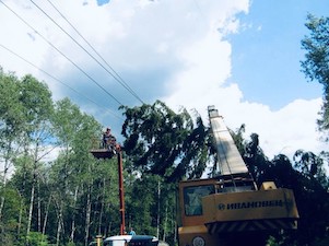 В Башкирии 130-метровая ель повредила ЛЭП 110 кВ «Инзер – Зуяково»