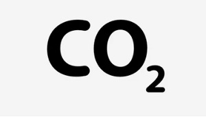 1,4 млн тонн парниковых газов сэкономили водители метановых машин для экологии России