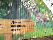 В парке «Нефтяников» в Бузулуке появился мурал