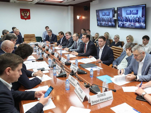 В Совете Федерации обсудили развитие промышленной локальной энергетики на Дальнем Востоке и в Арктике