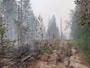 В Верхневилюйском районе Якутии зафиксировано 7 лесных пожаров