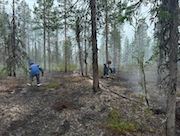 «Транснефть» помогла потушить пожар в Усинском лесничестве Республики Коми