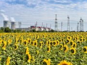 Все энергоблоки Ростовской АЭС работают в соответствии с диспетчерским заданием
