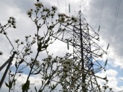 «Адыгейские электрические сети» отремонтировали 240 км ЛЭП