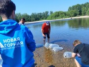 Экологи «Новой горной УК» выпустили в приток Томи 45 тысяч мальков хариуса