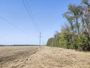 «Россети Кубань» отремонтировали более 180 км ЛЭП на севере Краснодарского края