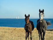 30 победителей проекта «Энергия дела» отправятся в тур в один из «атомных» городов России