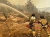 Сотрудники АЭС «Аккую» помогли в тушении лесного пожара в Турции