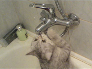 Без воды – «и туды и сюды»