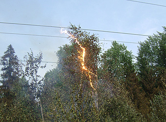 В поселок Неболчи для электроснабжения переброшены 9 дизель-генераторов