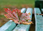 Энергетиков ждет тяжелая осень