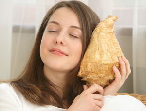 Для «Газпрома» изготовлена малошумная электростанция