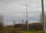 В «Алтайэнерго» проводится плановая расчистка просек