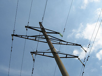 Сначала аисты выключают свет