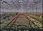 «Вологдаэнерго» начал монтаж провода на ВЛ-10 кВ