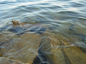 На курорте «Увильды» отключат газ