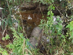 В Димитровграде произошла утечка нефтепродуктов по вине оператора котельной ТЭЦ