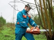 Тамбовэнерго ведет работы по расчистке и расширению просек ЛЭП с опережением графика