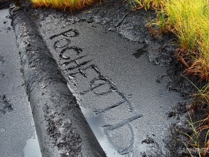 Гринпис: Роснефть должна прекратить утечки нефти, а не просить помощи у государства