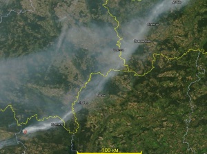 В зоне отчуждения Чернобыльской АЭС горят торфяники