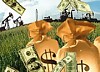 Нефтяные котировки развернулись вниз