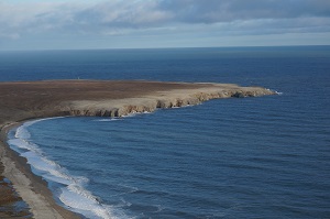 «Роснефть» начала фоновый экологический мониторинг в акватории Баренцева моря