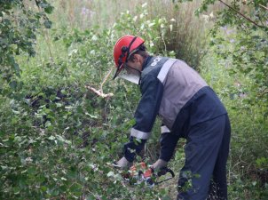 ФСК ЕЭС снижает риск отключения ЛЭП в Красноярском крае