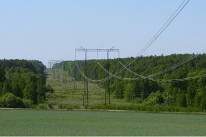 ФСК ЕЭС установит 100 птицезащитных устройств на ЛЭП «ТЭЦ ВАЗа – Черемшанская»