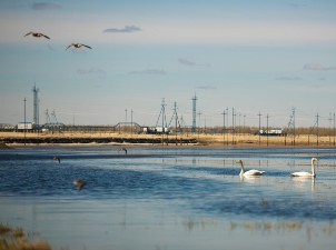 Утилизация ПНГ на месторождениях «Газпромнефть-Хантоса» в 2017 году составляет 96%