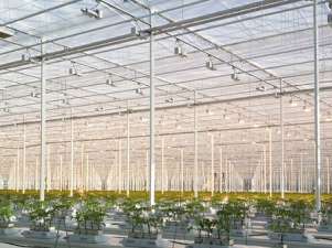 ФСК ЕЭС обеспечила энергией первый круглогодичный тепличный комплекс Воронежской области