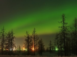 «Газпромнефть-Ноябрьскнефтегаз» обустроит новые кусты скважин на Заполярном НГКМ