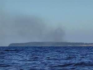 Радиоактивный пожар на Ладоге начался из-за непотушенного костра